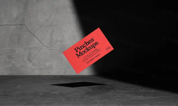 高质量实拍商务名片企业品牌设计提案贴图展示样机模板素材 Businesses Card Mockup-4