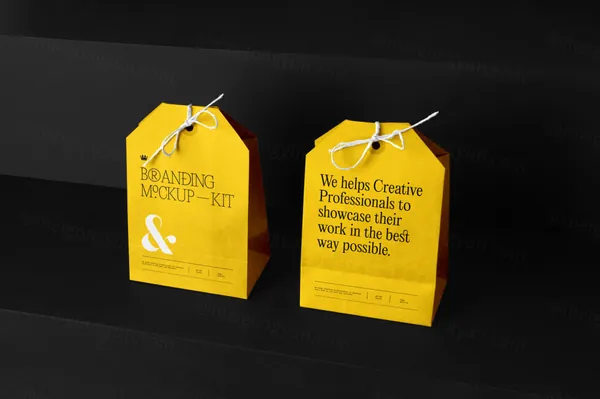 高端礼品袋礼品盒包装设计提案贴图展示样机模板 Branding Mockups