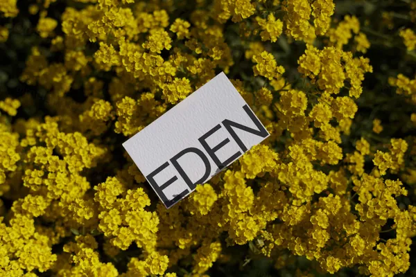 高端摄影实拍商务名片企业品牌设计提案贴图展示样机模板素材 Businesses Card Mockup-8