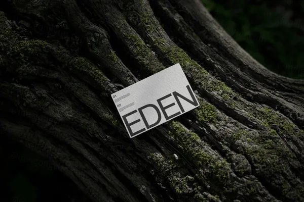 高端摄影实拍商务名片企业品牌设计提案贴图展示样机模板素材 Businesses Card Mockup-11