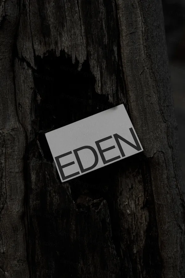 高端摄影实拍商务名片企业品牌设计提案贴图展示样机模板素材 Businesses Card Mockup-9