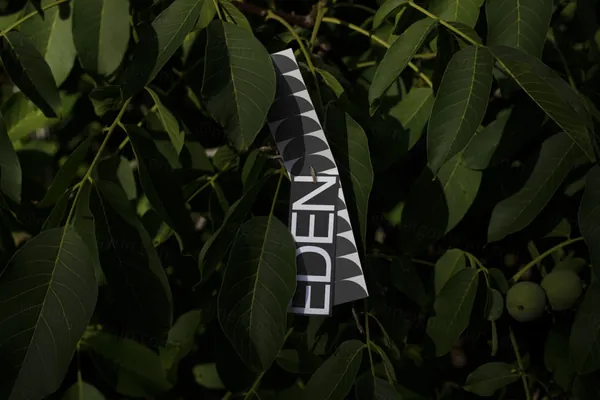 极简主义吊牌标签服装设计提案贴图展示样机模板素材 Tags Mockup-1