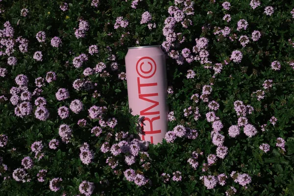 高端摄影实拍易拉罐饮料包装设计提案贴图展示样机模板素材 Cans Mockup-2