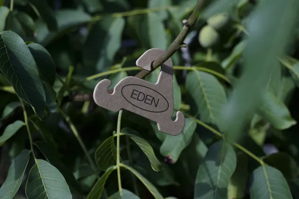高质量瓦楞纸挂钩外卖品牌包装设计贴图展示样机模板素材 Eco Hanger Mockup