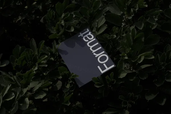 高质量宣传单广告海报设计贴图展示样机模板素材 Poster Mockup-2