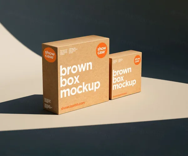 高端物流快递纸盒纸箱公司企业品牌VI设计提案样机模板 T01_Box Mockup