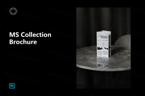 高端室内实拍无CG宣传单折页设计贴图展示样机模板 Brochure