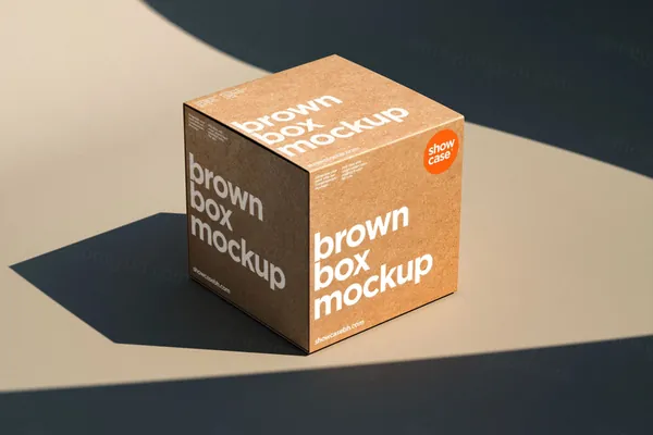 高端物流快递纸盒纸箱公司企业品牌VI设计提案样机模板 T08_Box Mockup