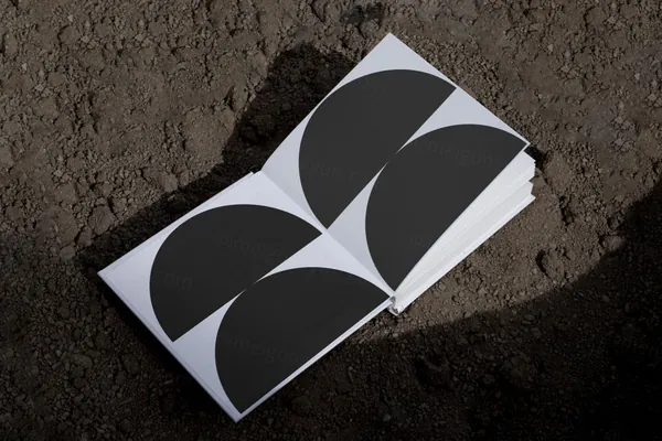 高端摄影实拍书籍排版设计提案贴图展示样机模板素材 Book Mockup-6