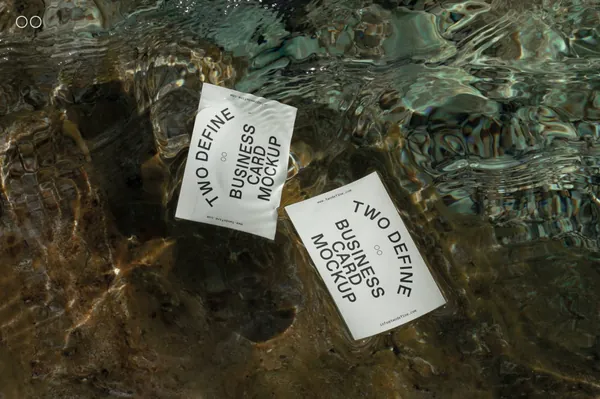 大自然户外水下实拍商务名片品牌设计贴图展示样机模板素材 On Water Mockup-1