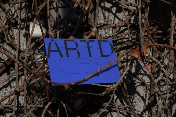 高质量实拍无CG 宣传单 海报广告设计贴图展示样机模板素材 ARTD C02 PRINT 020