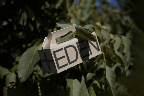 高质量环保小纸盒外卖品牌包装设计贴图展示样机模板素材 Eco Small Box Mockup-3