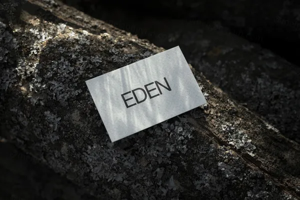 高端摄影实拍商务名片企业品牌设计提案贴图展示样机模板素材 Businesses Card Mockup-6