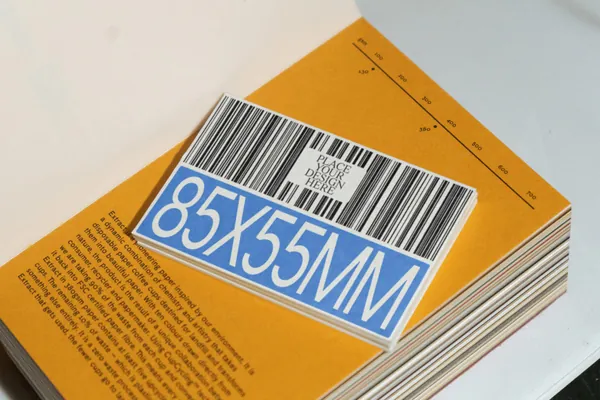 高质量商务名片品牌VI设计提案贴图展示样机模板素材  Business Card Mockup 01