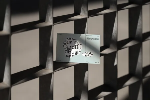 高质量高清摄影实拍品牌策划名片设计贴图展示样机模板 S003-011