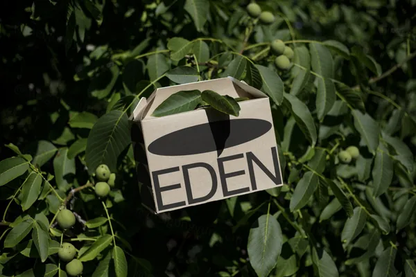 高质量环保纸盒外卖品牌包装设计贴图展示样机模板素材 Eco Large Box Mockup