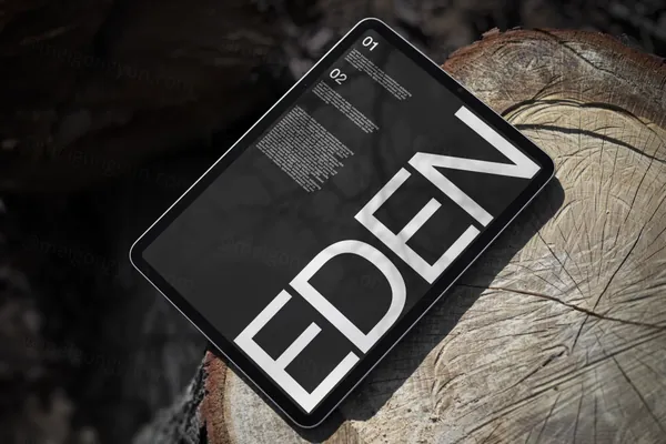 高质量苹果平板电脑Web网页设计UI贴图展示样机模板素材 iPad Mockup