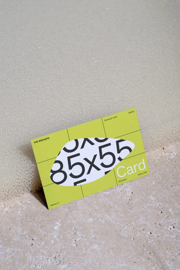 高质量实拍无CG企业品牌名片设计贴图展示样机模板 TM TE 001 4