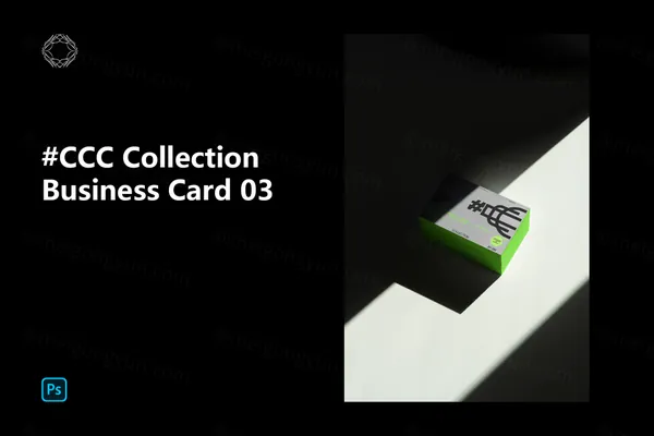 高端室内实拍无CG商务名片场景贴图品牌VI设计样机模板-1