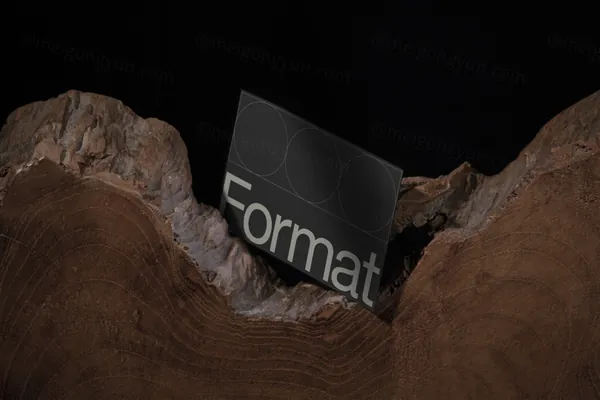 高端摄影实拍商务名片企业品牌设计提案贴图展示样机模板素材 Businesses Card Mockup-21