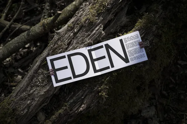 高端摄影实拍宣传册杂志画册书籍排版设计提案贴图展示样机模板素材 Book Mockup-3