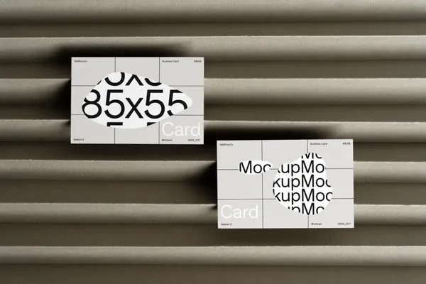 高质量高清摄影实拍品牌策划名片设计贴图展示样机模板 S002-007