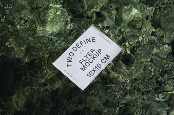 大自然户外水下实拍商务名片品牌设计贴图展示样机模板素材 On Water Mockup-2