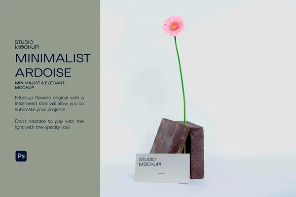 高质量商务名片品牌VI设计贴图展示样机模板素材 BUSINESS CARD MOCKUP-1