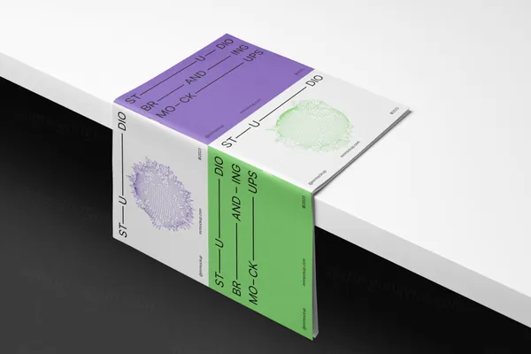 高质量书籍封面工作室品牌VI设计提案贴图展示样机模板 Studio Branding Mockups