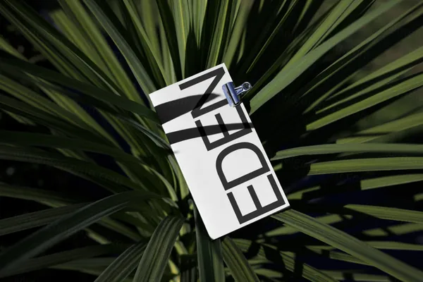 高端摄影实拍宣传册杂志画册书籍排版设计提案贴图展示样机模板素材 Book Mockup-1