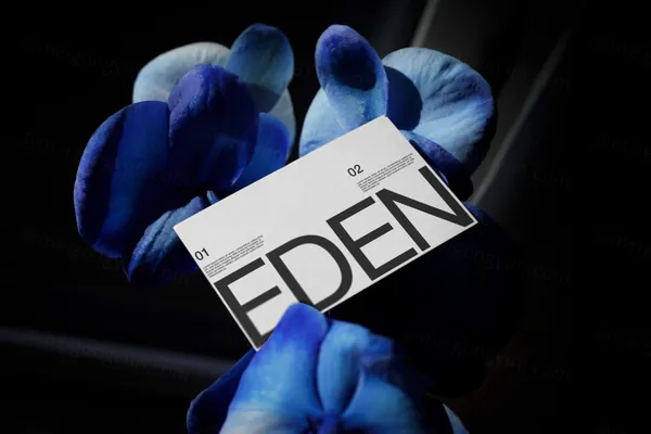 高端摄影实拍商务名片企业品牌设计提案贴图展示样机模板素材 Businesses Card Mockup-12