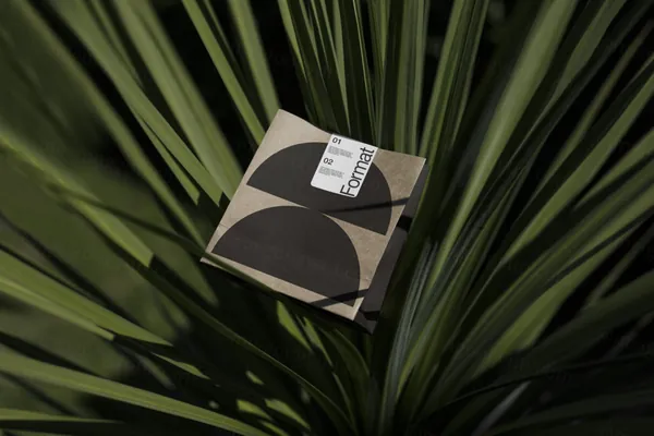 高质量环保纸袋外卖品牌包装设计贴图展示样机模板素材 Eco Pouch Mockup-1