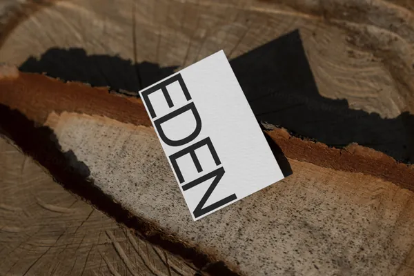 高端摄影实拍商务名片企业品牌设计提案贴图展示样机模板素材 Businesses Card Mockup-2