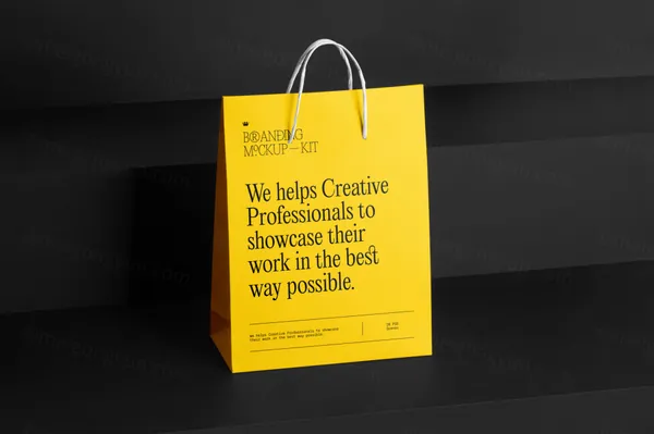 高端纸袋手提袋服装品牌包装VI设计提案贴图展示样机模板 Branding Mockups-1